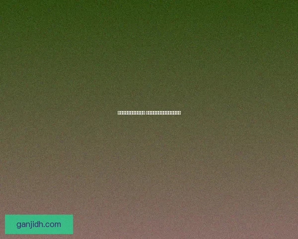 白牛出装解析与实战指南 如何利用最佳装备发挥最大战力