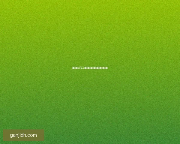 英雄联盟ADC通用符文推荐及适应性选择解析技巧